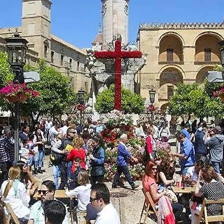 New* Near To The Mosque And Historic Center Hotel