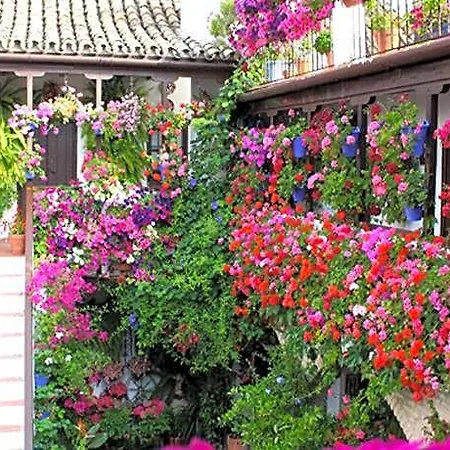 New* Near To The Mosque And Historic Center 5*